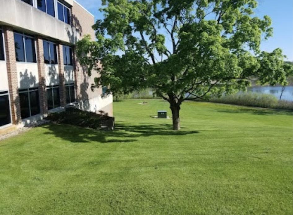 Commercial-style grounds maintenance with a large lawn and building frontage