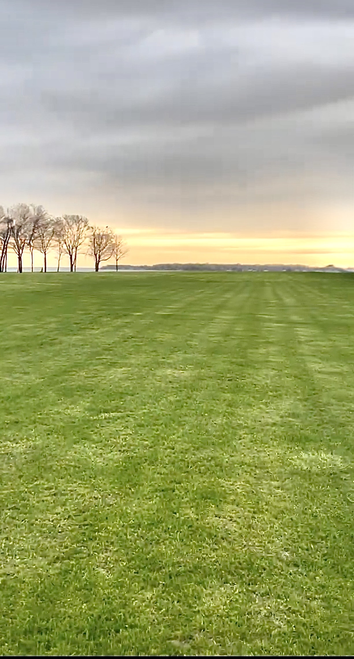 Large-property lawn maintenance and estate-style grounds care