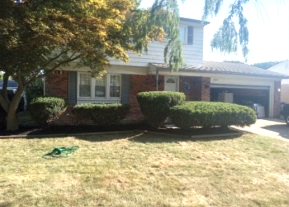 Residential bush trimming and property maintenance