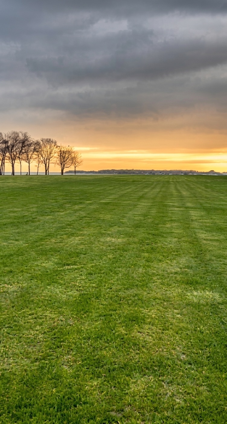 Large maintained lawn at dusk, with mowing patterns visible across an open property in Southeast Michigan